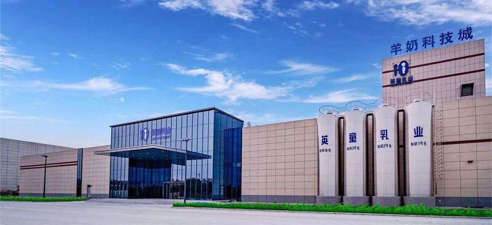 倍莱鲜成功之道：从正确选择到财富积累的实用指南